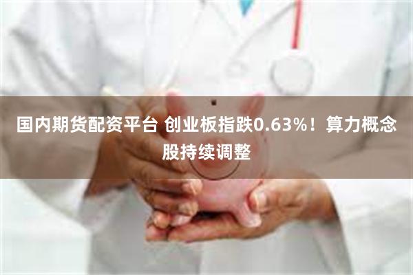 国内期货配资平台 创业板指跌0.63%！算力概念股持续调整