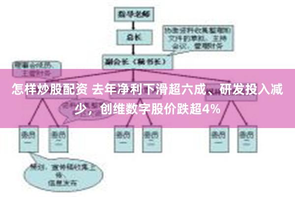 怎样炒股配资 去年净利下滑超六成、研发投入减少，创维数字股价跌超4%