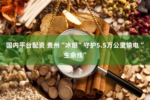 国内平台配资 贵州“冰眼”守护5.5万公里输电“生命线”