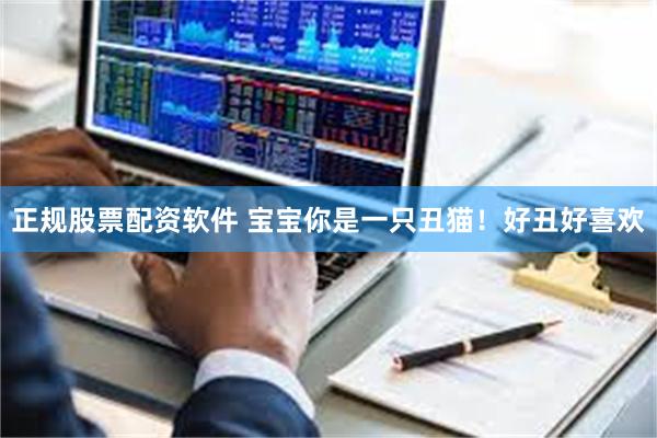 正规股票配资软件 宝宝你是一只丑猫！好丑好喜欢
