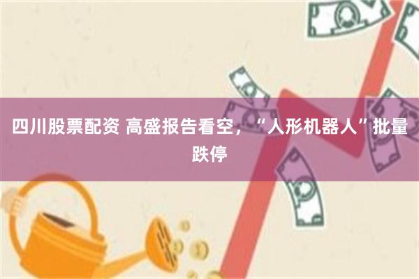 四川股票配资 高盛报告看空，“人形机器人”批量跌停