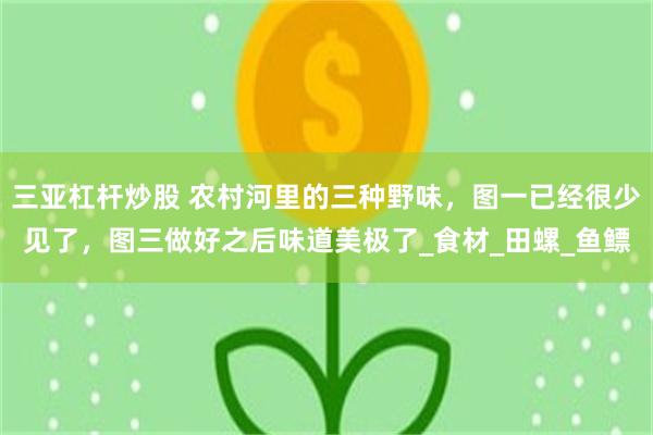 三亚杠杆炒股 农村河里的三种野味，图一已经很少见了，图三做好之后味道美极了_食材_田螺_鱼鳔