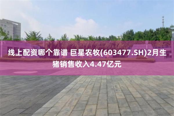 线上配资哪个靠谱 巨星农牧(603477.SH)2月生猪销售收入4.47亿元