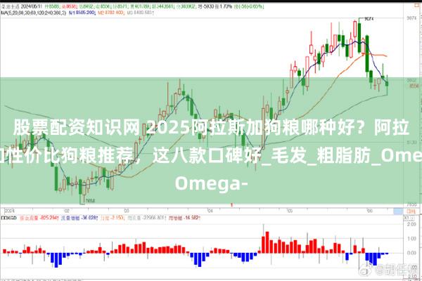 股票配资知识网 2025阿拉斯加狗粮哪种好？阿拉斯加性价比狗粮推荐，这八款口碑好_毛发_粗脂肪_Omega-