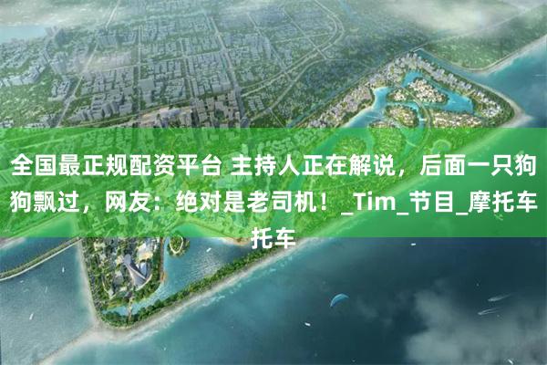 全国最正规配资平台 主持人正在解说，后面一只狗狗飘过，网友：绝对是老司机！_Tim_节目_摩托车