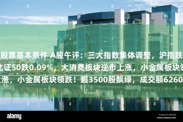股票基本条件 A股午评：三大指数集体调整，沪指跌0.33%创指跌近1%北证50跌0.09%，大消费板块逆市上涨，小金属板块领跌！超3500股飘绿，成交额6260亿缩量349亿