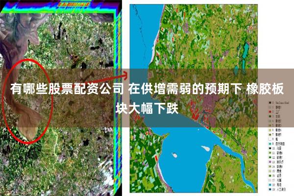 有哪些股票配资公司 在供增需弱的预期下 橡胶板块大幅下跌