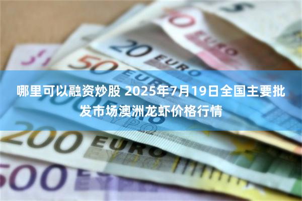 哪里可以融资炒股 2025年7月19日全国主要批发市场澳洲龙虾价格行情