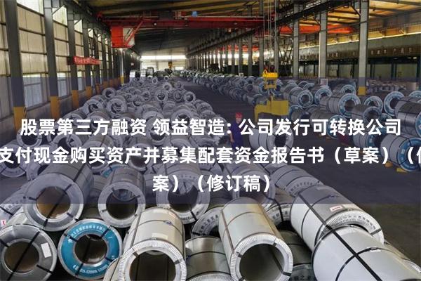 股票第三方融资 领益智造: 公司发行可转换公司债券及支付现金购买资产并募集配套资金报告书(草案)(修订稿)