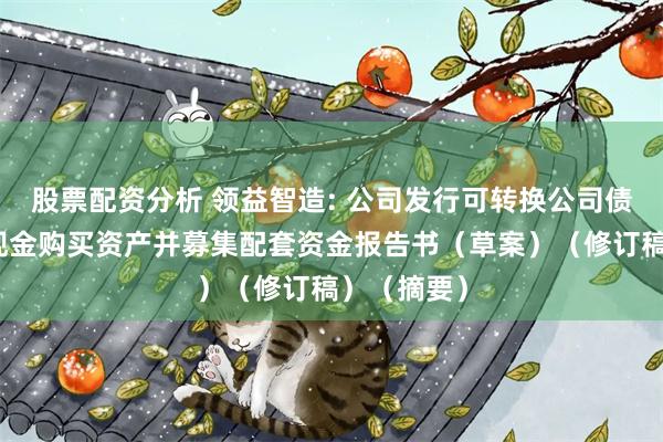 股票配资分析 领益智造: 公司发行可转换公司债券及支付现金购买资产并募集配套资金报告书(草案)(修订稿)(摘要)