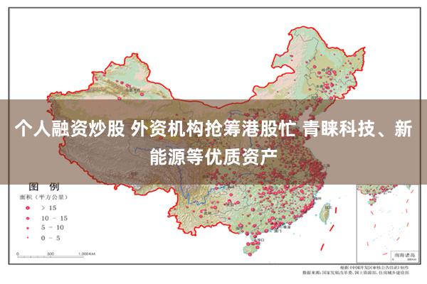 个人融资炒股 外资机构抢筹港股忙 青睐科技、新能源等优质资产