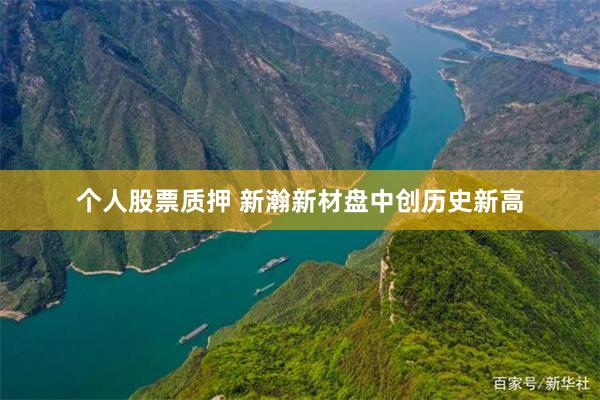 个人股票质押 新瀚新材盘中创历史新高