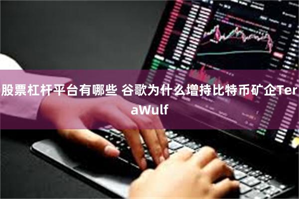 股票杠杆平台有哪些 谷歌为什么增持比特币矿企TeraWulf