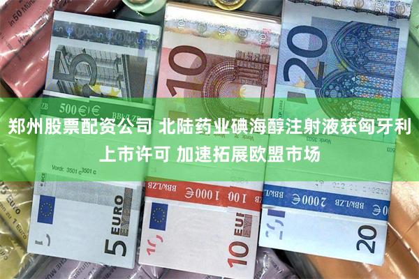 郑州股票配资公司 北陆药业碘海醇注射液获匈牙利上市许可 加速拓展欧盟市场