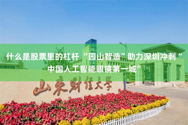 什么是股票里的杠杆 “园山智造”助力深圳冲刺“中国人工智能眼镜第一城”
