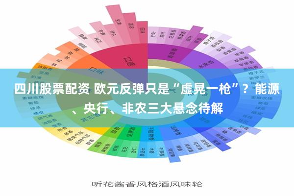 四川股票配资 欧元反弹只是“虚晃一枪”？能源、央行、非农三大悬念待解