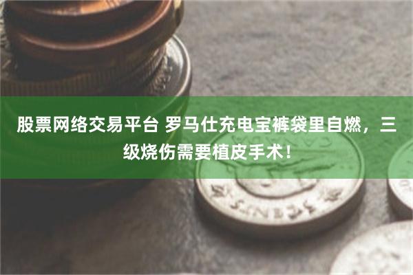股票网络交易平台 罗马仕充电宝裤袋里自燃，三级烧伤需要植皮手术！