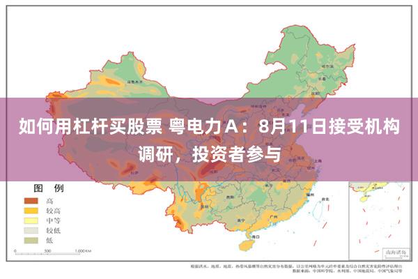 如何用杠杆买股票 粤电力A:8月11日接受机构调研,投资者参与
