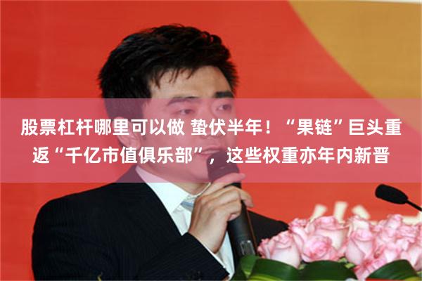 股票杠杆哪里可以做 蛰伏半年！“果链”巨头重返“千亿市值俱乐部”，这些权重亦年内新晋