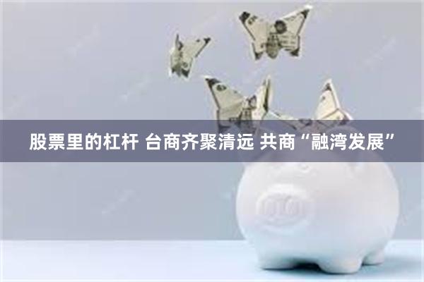 股票里的杠杆 台商齐聚清远 共商“融湾发展”