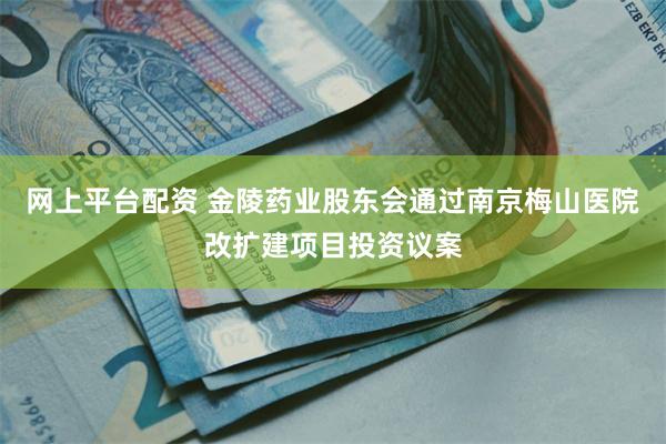 网上平台配资 金陵药业股东会通过南京梅山医院改扩建项目投资议案