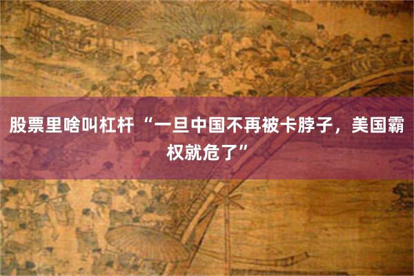 股票里啥叫杠杆 “一旦中国不再被卡脖子，美国霸权就危了”