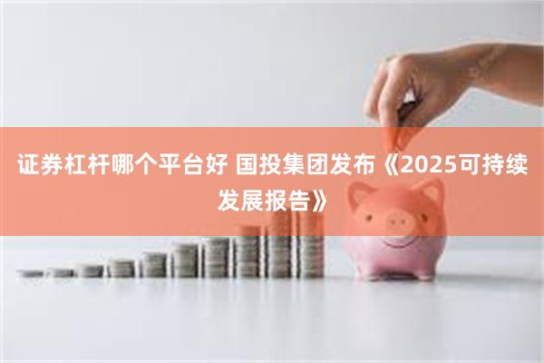 证券杠杆哪个平台好 国投集团发布《2025可持续发展报告》