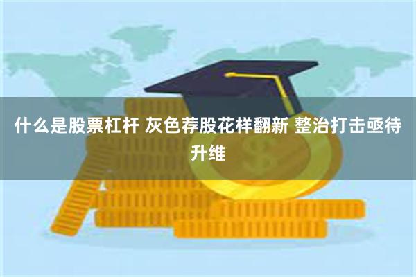 什么是股票杠杆 灰色荐股花样翻新 整治打击亟待升维
