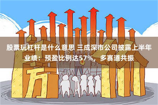 股票玩杠杆是什么意思 三成深市公司披露上半年业绩：预盈比例达57%，多赛道共振