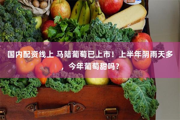 国内配资线上 马陆葡萄已上市！上半年阴雨天多，今年葡萄甜吗？