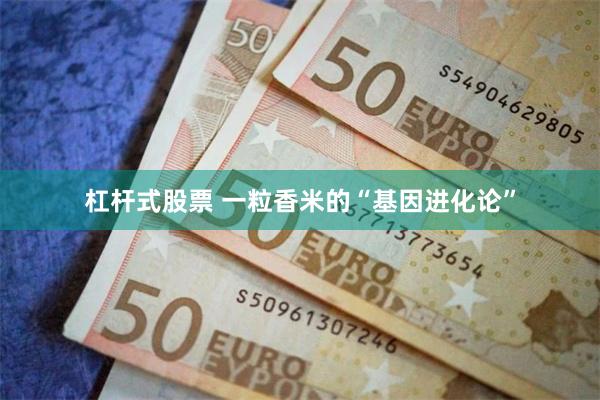 杠杆式股票 一粒香米的“基因进化论”