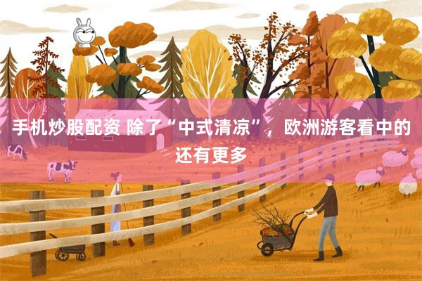 手机炒股配资 除了“中式清凉”，欧洲游客看中的还有更多