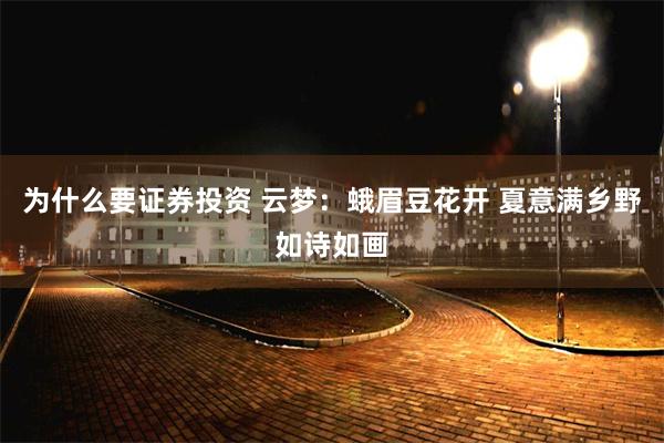 为什么要证券投资 云梦：蛾眉豆花开 夏意满乡野如诗如画