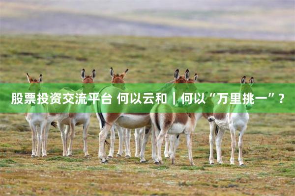 股票投资交流平台 何以云和｜何以“万里挑一”？