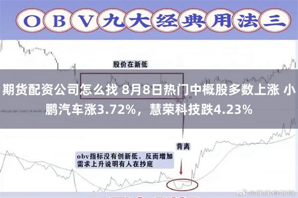 期货配资公司怎么找 8月8日热门中概股多数上涨 小鹏汽车涨3.72%，慧荣科技跌4.23%