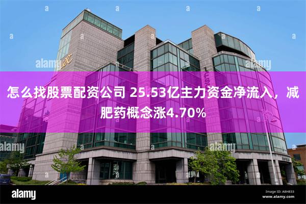 怎么找股票配资公司 25.53亿主力资金净流入，减肥药概念涨4.70%