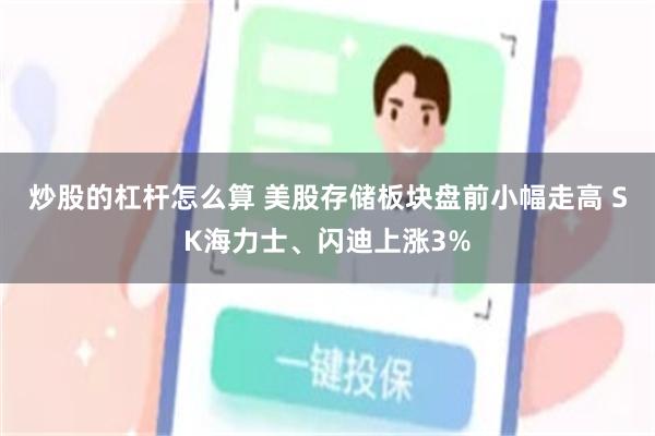 炒股的杠杆怎么算 美股存储板块盘前小幅走高 SK海力士、闪迪上涨3%