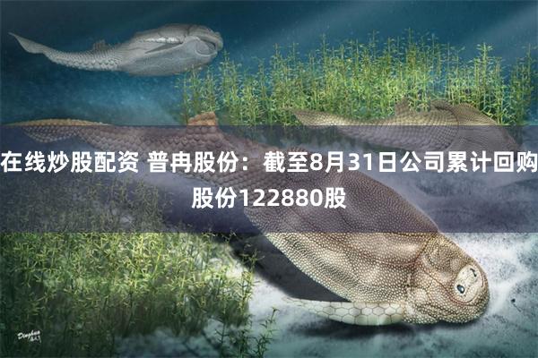 在线炒股配资 普冉股份：截至8月31日公司累计回购股份122880股