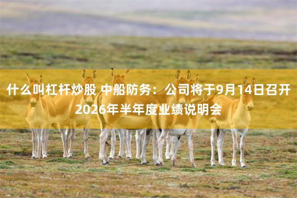 什么叫杠杆炒股 中船防务：公司将于9月14日召开2026年半年度业绩说明会