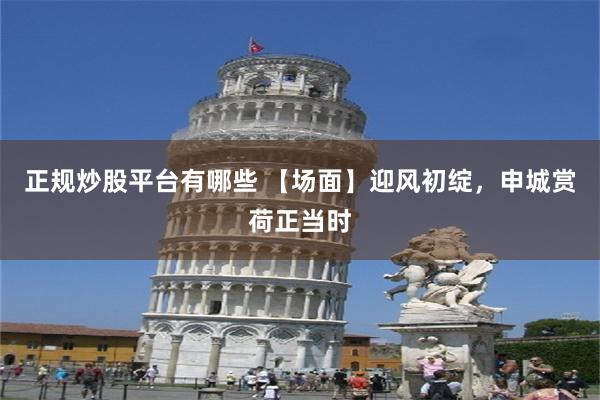 正规炒股平台有哪些 【场面】迎风初绽，申城赏荷正当时