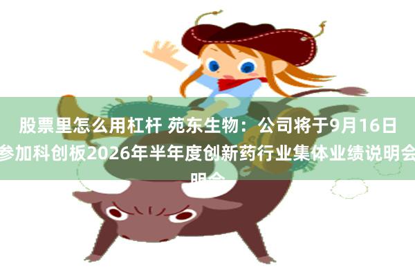 股票里怎么用杠杆 苑东生物：公司将于9月16日参加科创板2026年半年度创新药行业集体业绩说明会