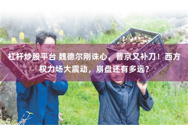 杠杆炒股平台 魏德尔刚诛心，普京又补刀！西方权力场大震动，崩盘还有多远？