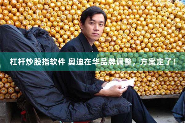 杠杆炒股指软件 奥迪在华品牌调整，方案定了！