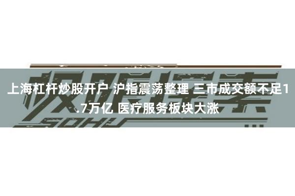 上海杠杆炒股开户 沪指震荡整理 三市成交额不足1.7万亿 医疗服务板块大涨