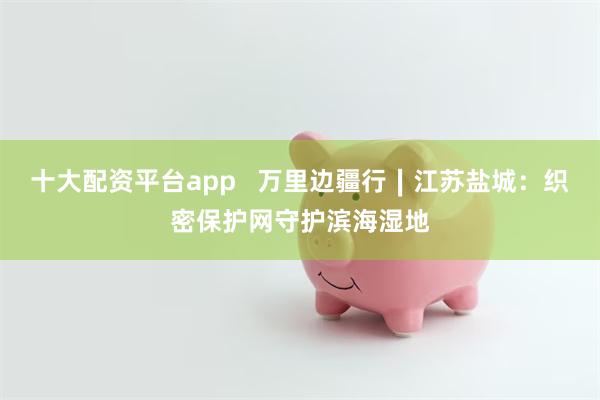 十大配资平台app   万里边疆行∣江苏盐城：织密保护网守护滨海湿地