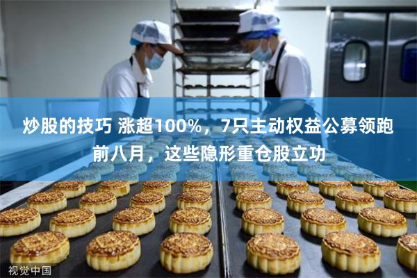炒股的技巧 涨超100%，7只主动权益公募领跑前八月，这些隐形重仓股立功