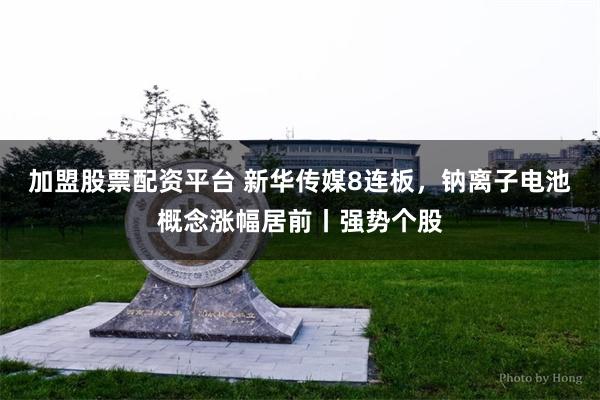 加盟股票配资平台 新华传媒8连板，钠离子电池概念涨幅居前丨强势个股