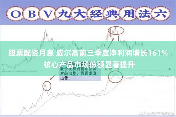 股票配资月息 威尔高前三季度净利润增长161% 核心产品市场份额显著提升