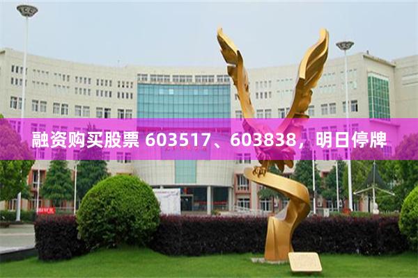 融资购买股票 603517、603838，明日停牌