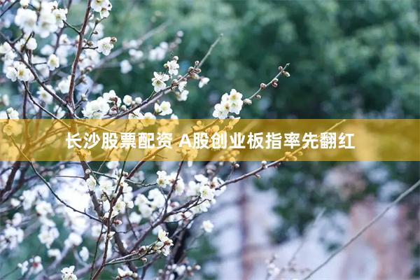 长沙股票配资 A股创业板指率先翻红